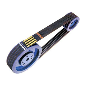 Buy Ecodrive Plus C 94 2440 mm Pitch Length Classical V-Belt