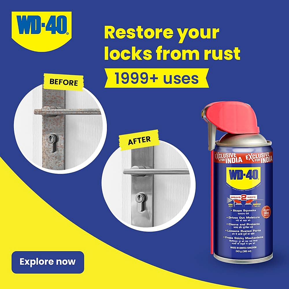 Buy WD-40 300 ml Multipurpose Rust Removal Spray with Smart Straw
