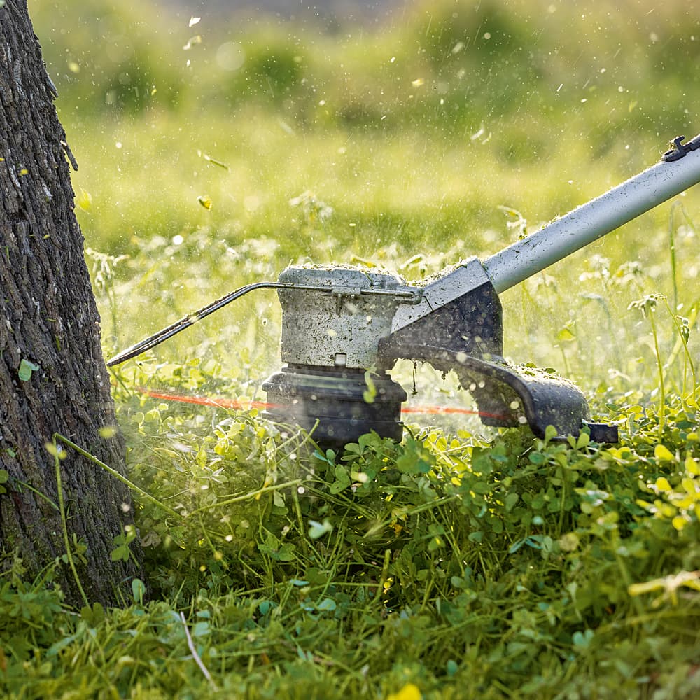 Buy Bosch 18V Professional Cordless Grass Trimmer (Bare Tool), GRT - Main Image