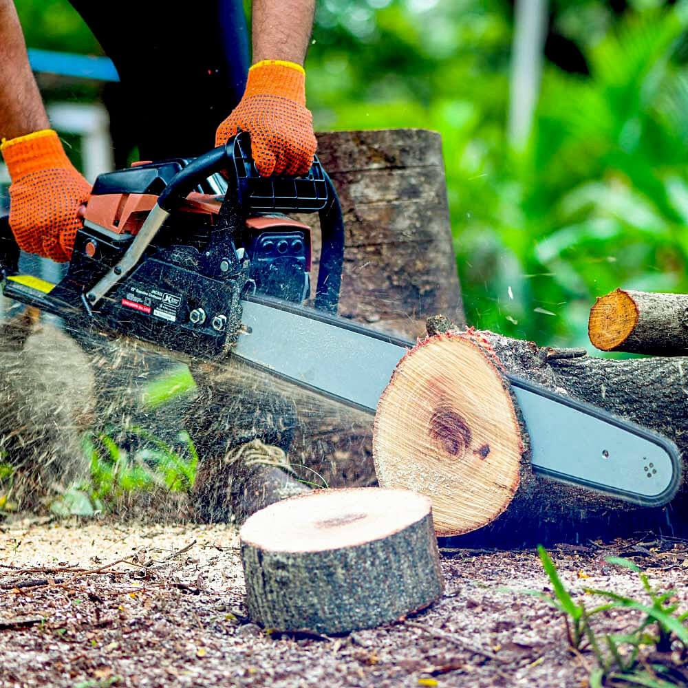 Buy JK Super Driver 22 inch / 2200W Gasoline Chain Saw, JKCS22N